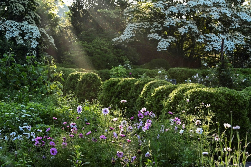 P664 18Leeave WC June2019 N201 Medium