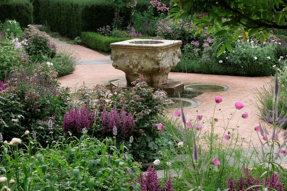 P664 N183 Medium 2 (1)