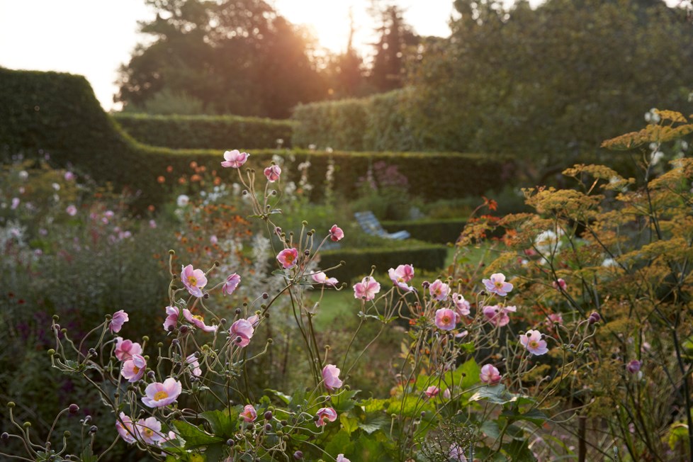 P017 Holme Hale Hall September 2020 N368 Medium