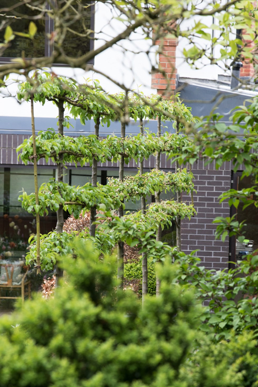 P644 N223 Print 002 (1)