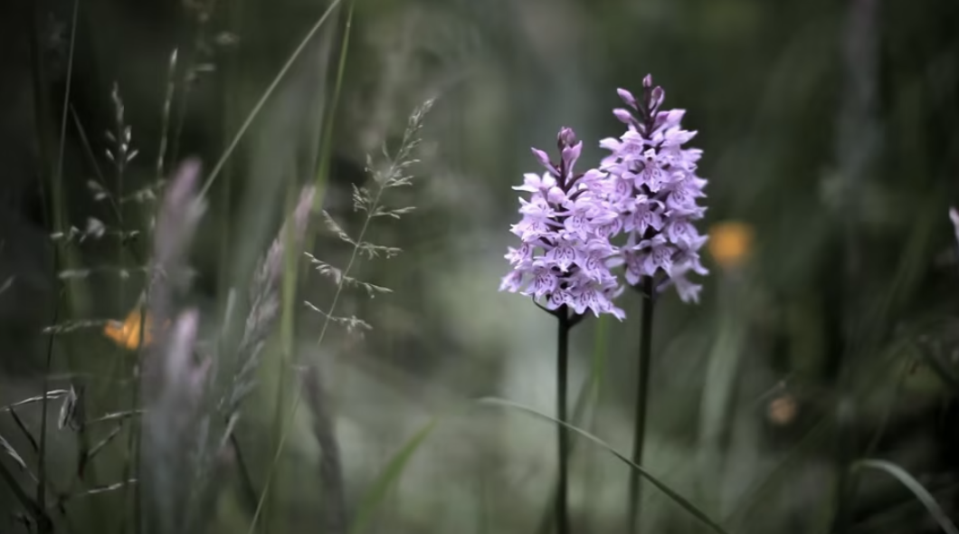 Screenshot 2021 11 03 At 14.42.34