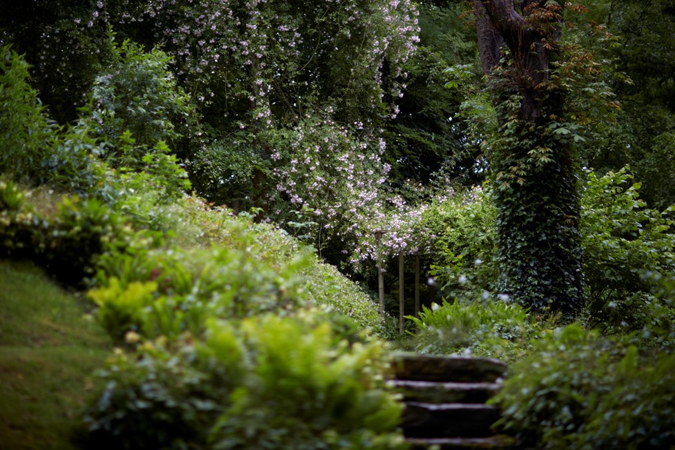 IMG 0559 Photography By Britt Willoughby Dyer ©