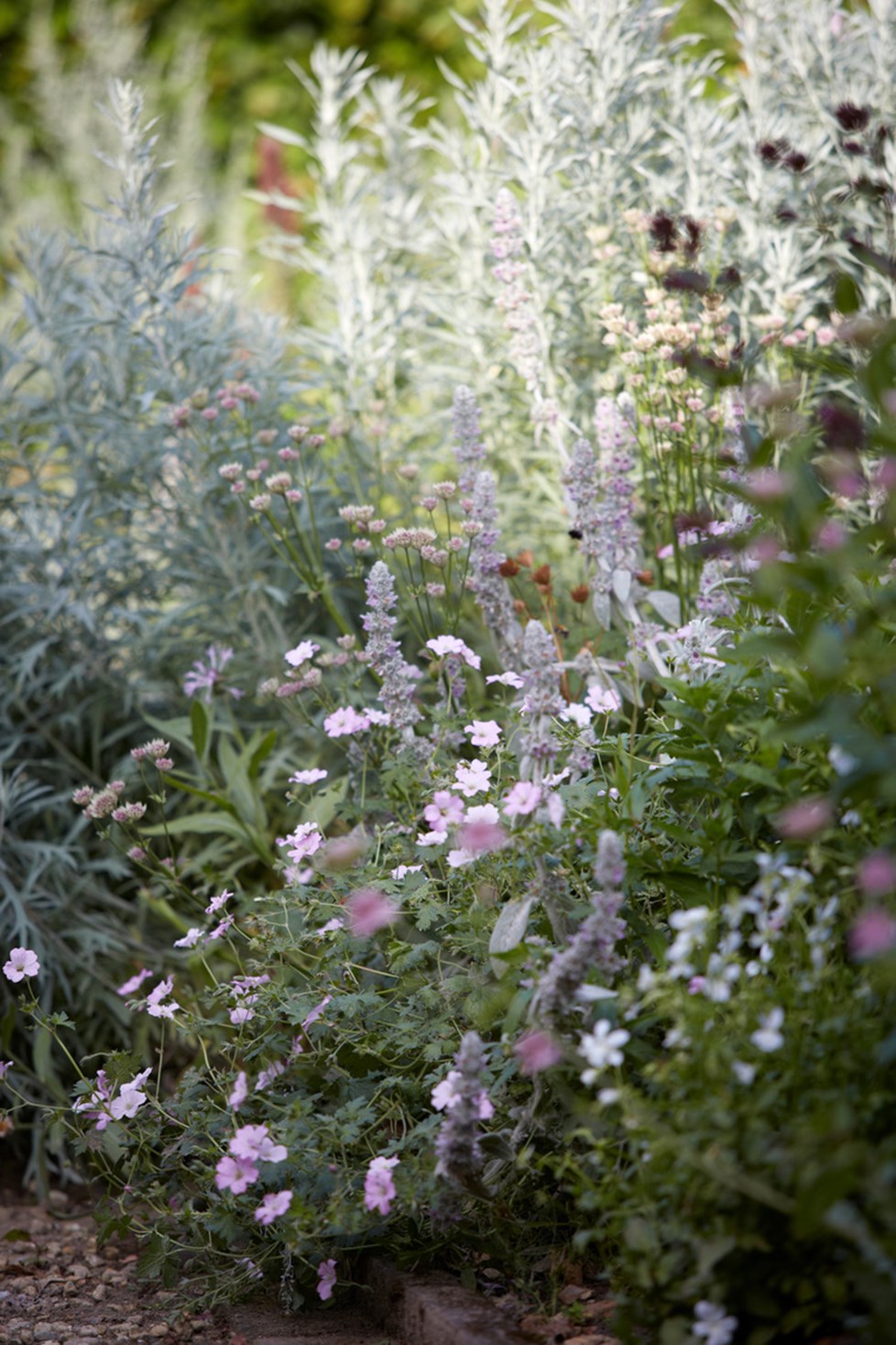 P017 Project 017 N216 Medium