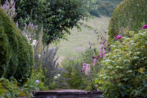 P510 July 2020 N31 Medium