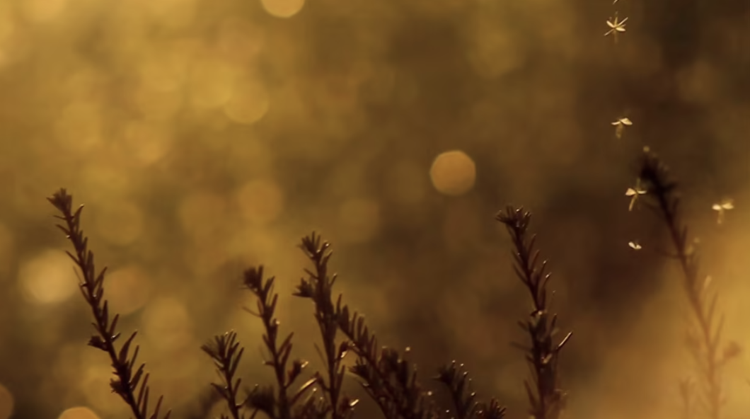 Screenshot 2021 11 03 At 14.42.51