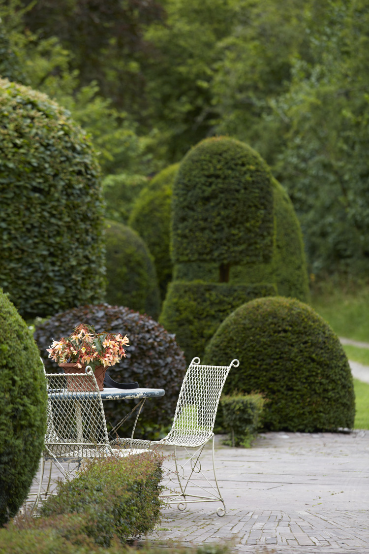 P510 July 2020 N427 Medium