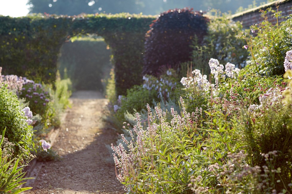 P017 Project 017 N625 Medium (1) 1