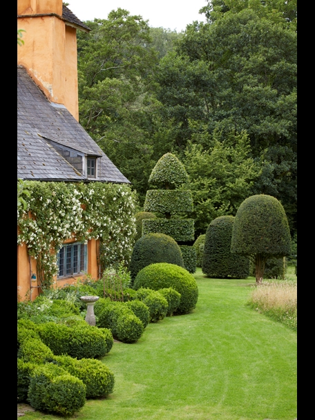 P510 July 2020 N370 Medium