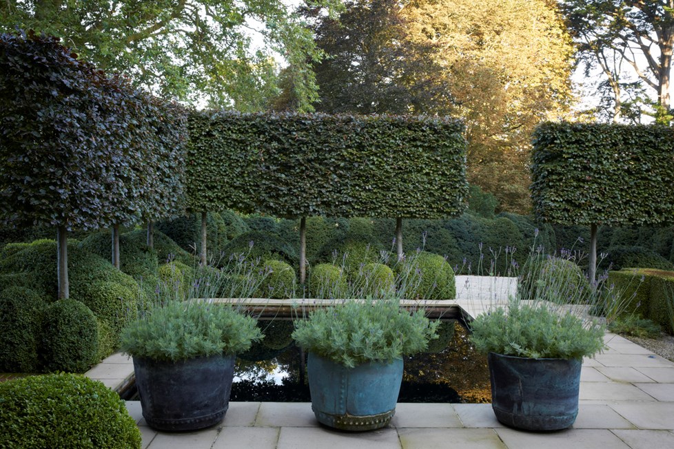 P619 Maperton House Sept 2020 N37 Medium