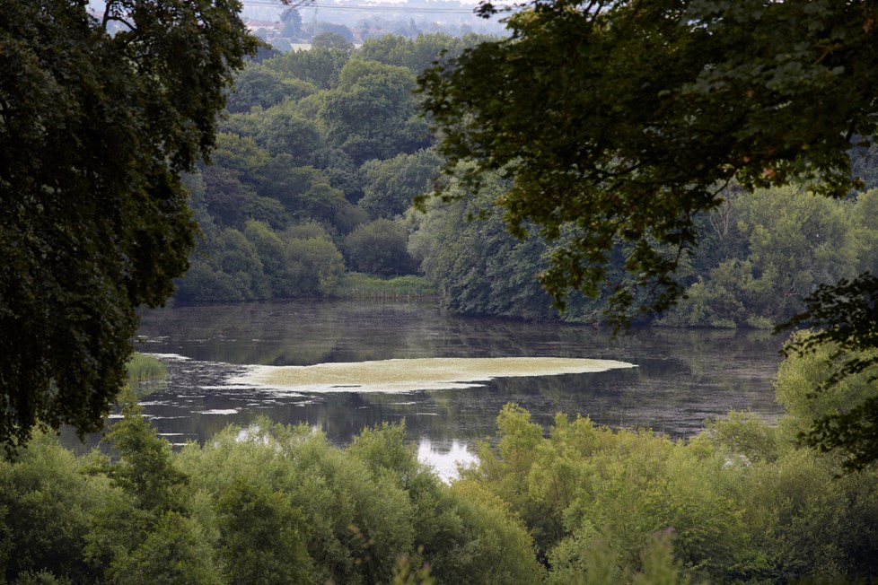 R 180713 N615 Medium