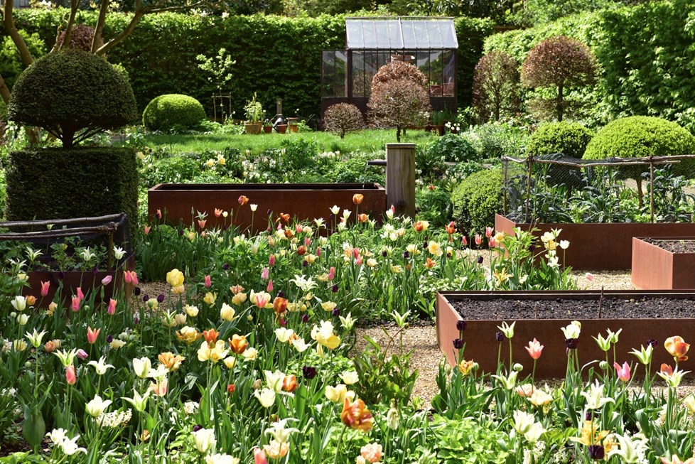 P644 N281 Medium 002