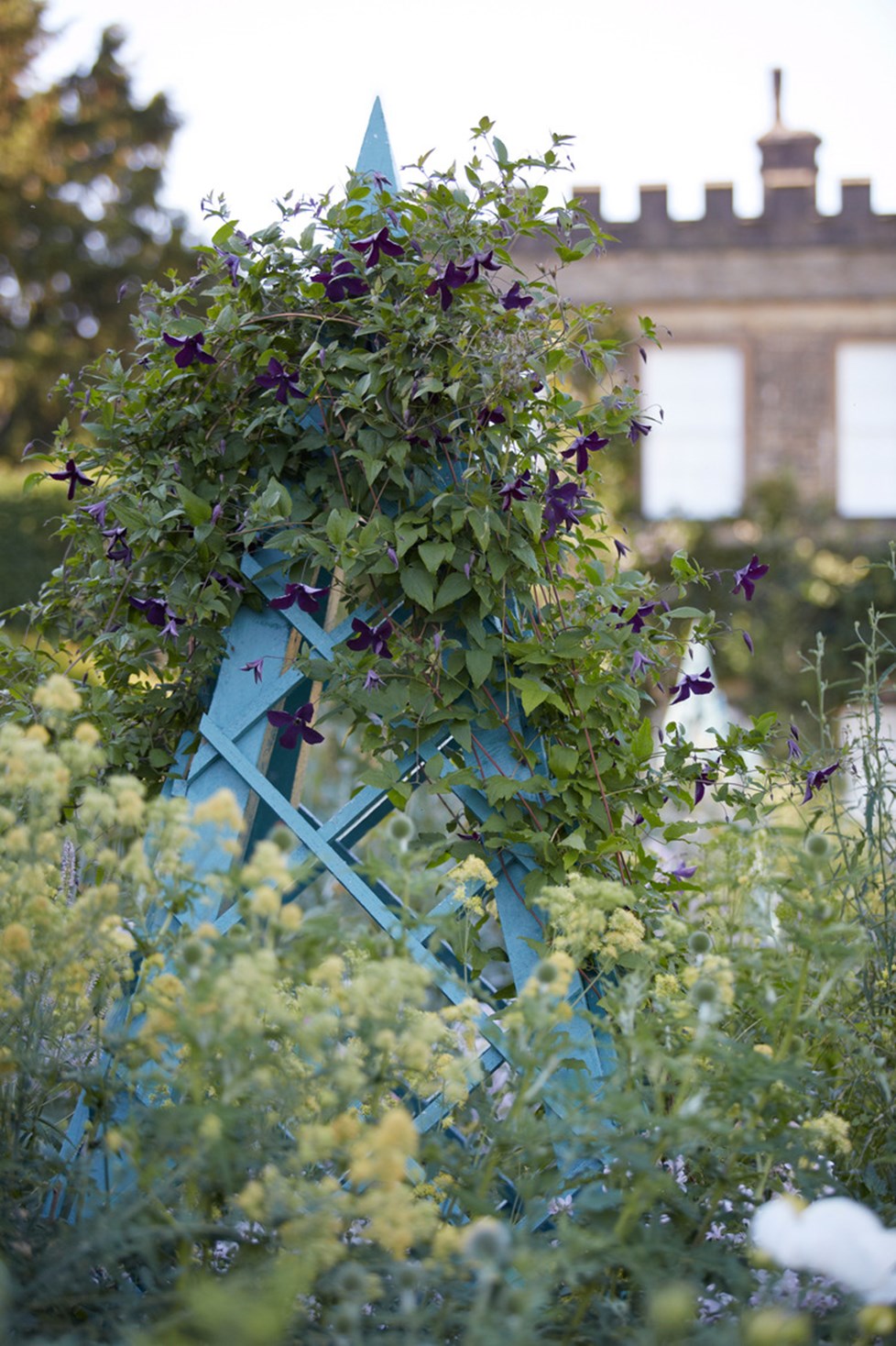 R 180713 N238 Medium