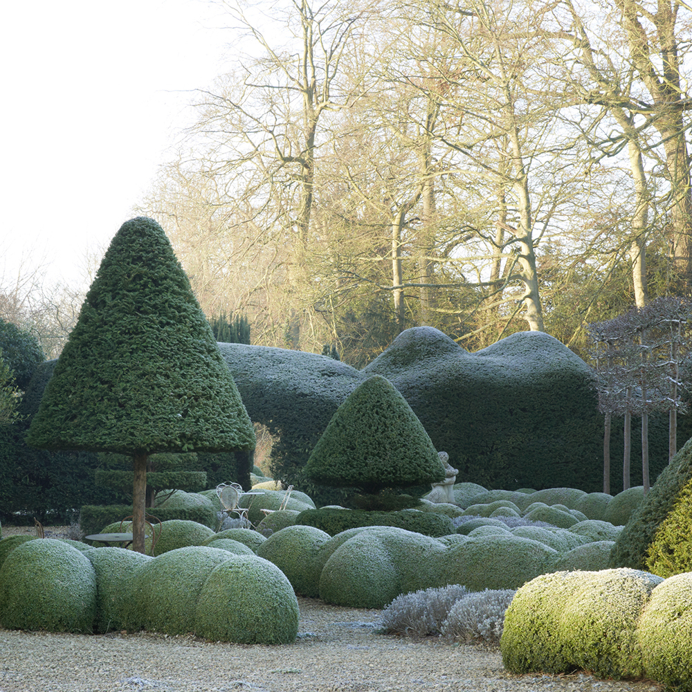 P024 N1210 Print 02 Sml Crop 03