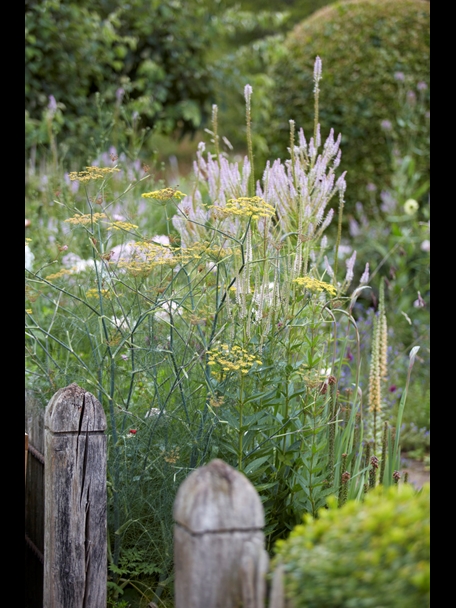 P510 July 2020 N307 Medium