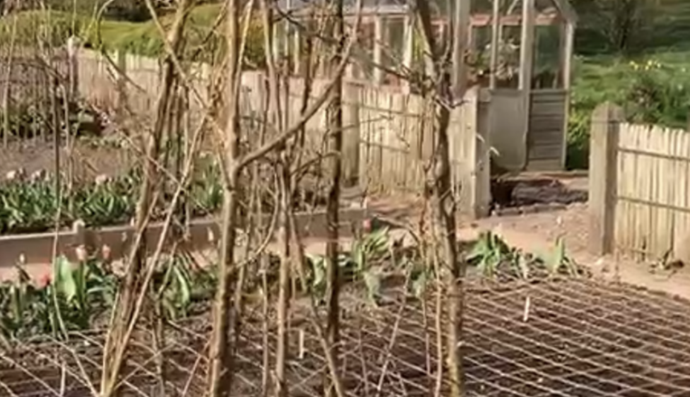 Screenshot 2021 10 15 At 12.48.54