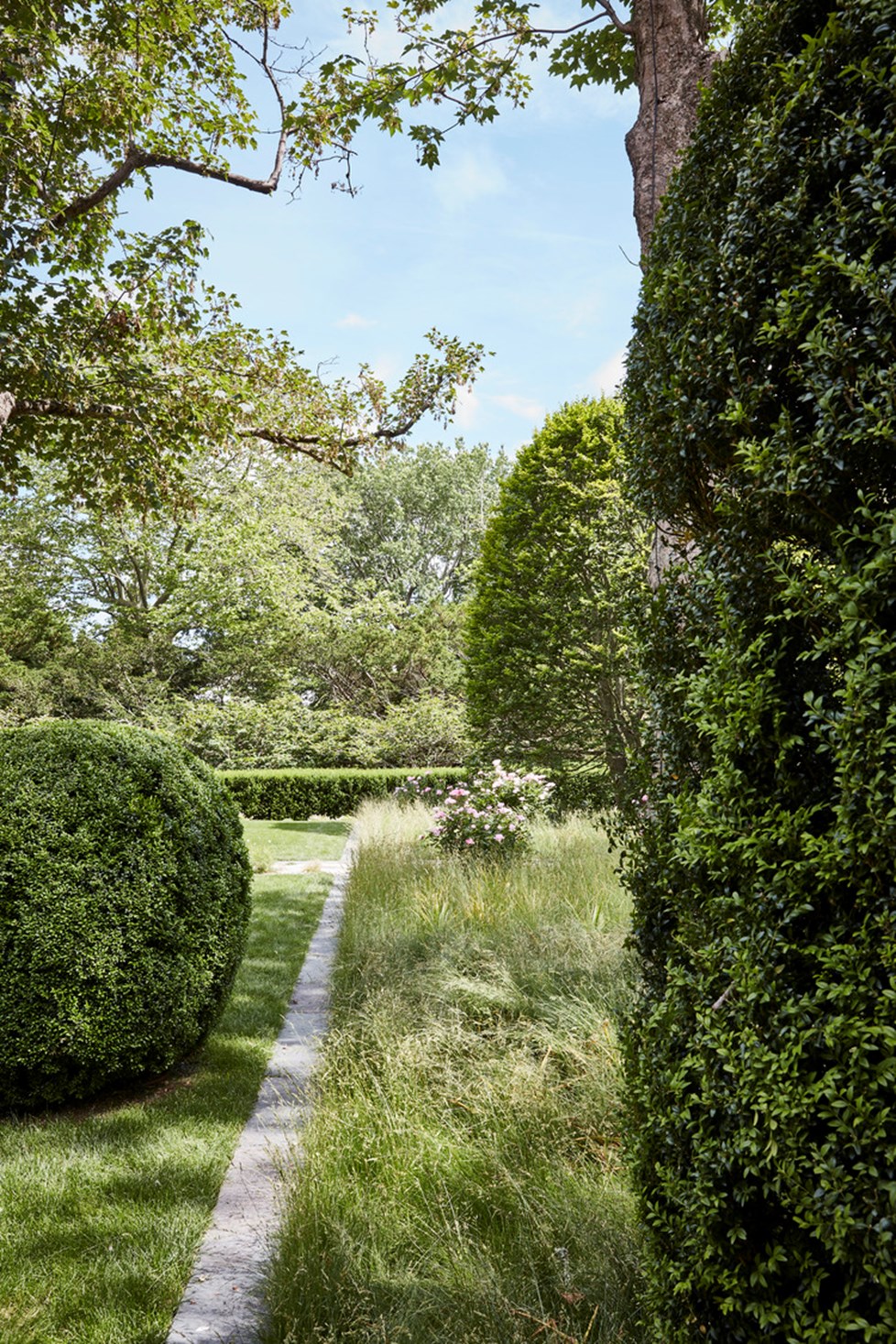 P664 Ngoc Minh Ngo N33 Medium