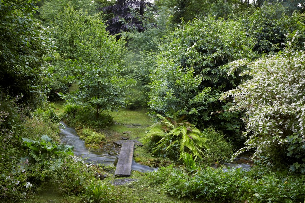 IMG 0553 Photography By Britt Willoughby Dyer ©