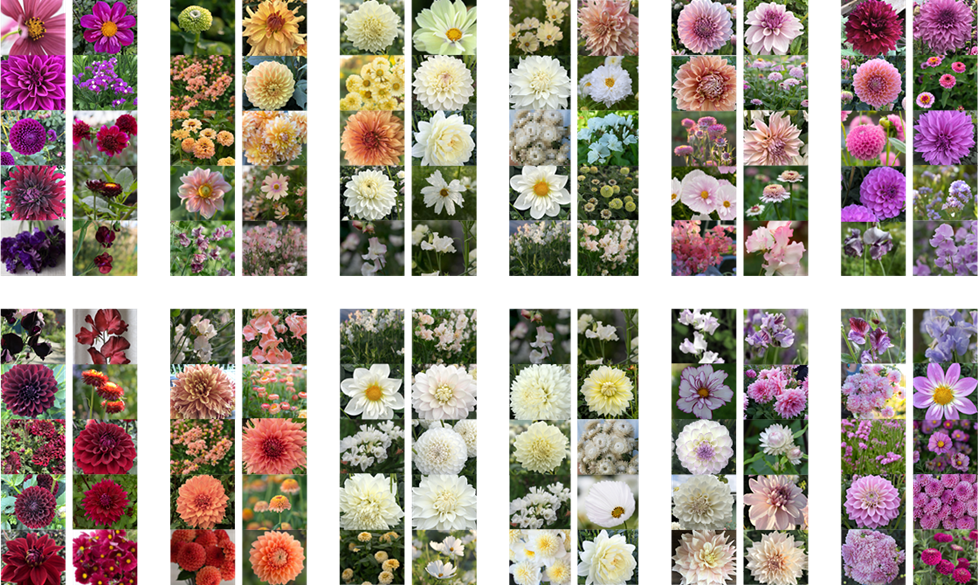 201104 664 Cut Flower Garden
