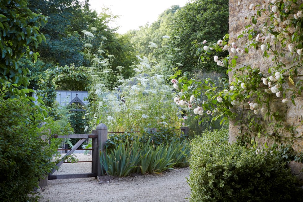 IMG 2861Photography By Britt Willoughby Dyer ©