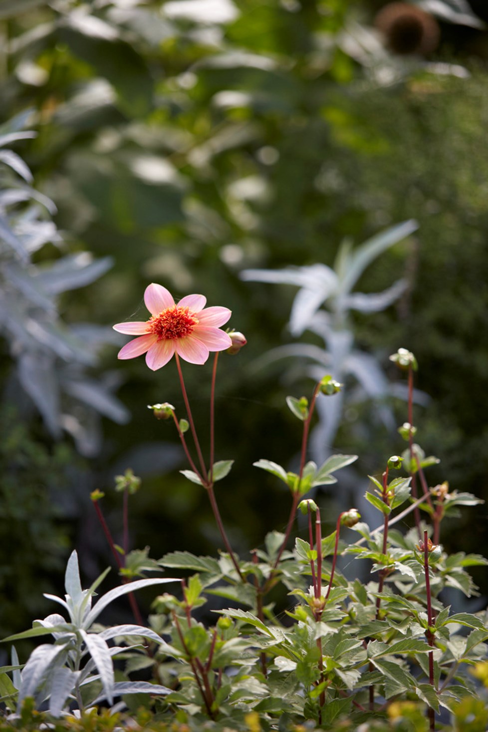 P017 Holme Hale Hall September 2020 N123 Medium