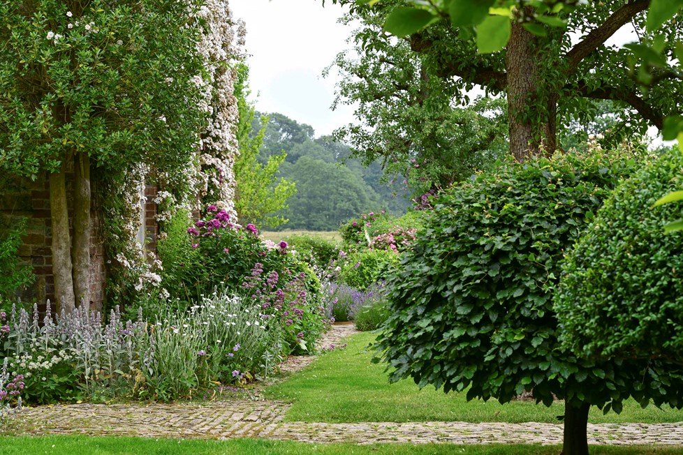 DSC 3198 02 No Telegraphpole