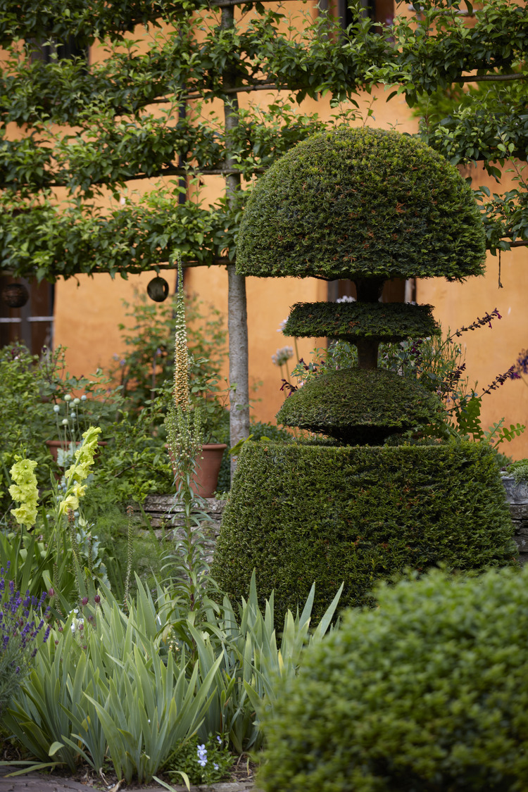 P510 July 2020 N228 Medium