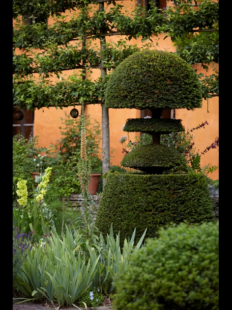 P510 July 2020 N228 Medium