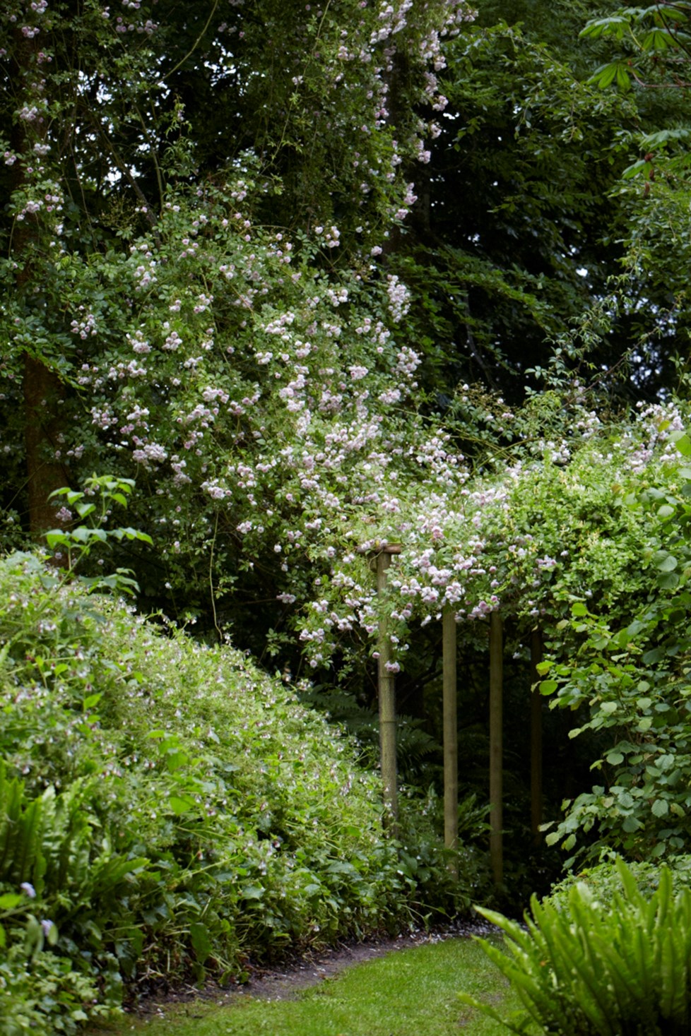 IMG 0237 Photography By Britt Willoughby Dyer ©