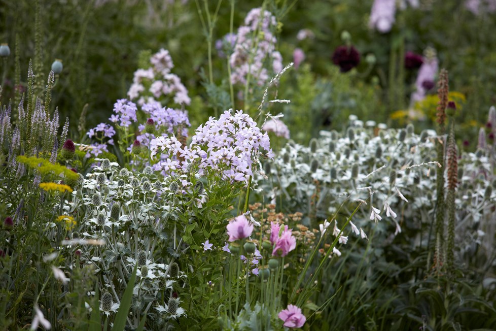 R 180713 N585 Medium