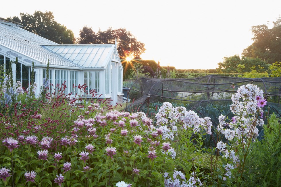 P017 Project 017 N427 Medium