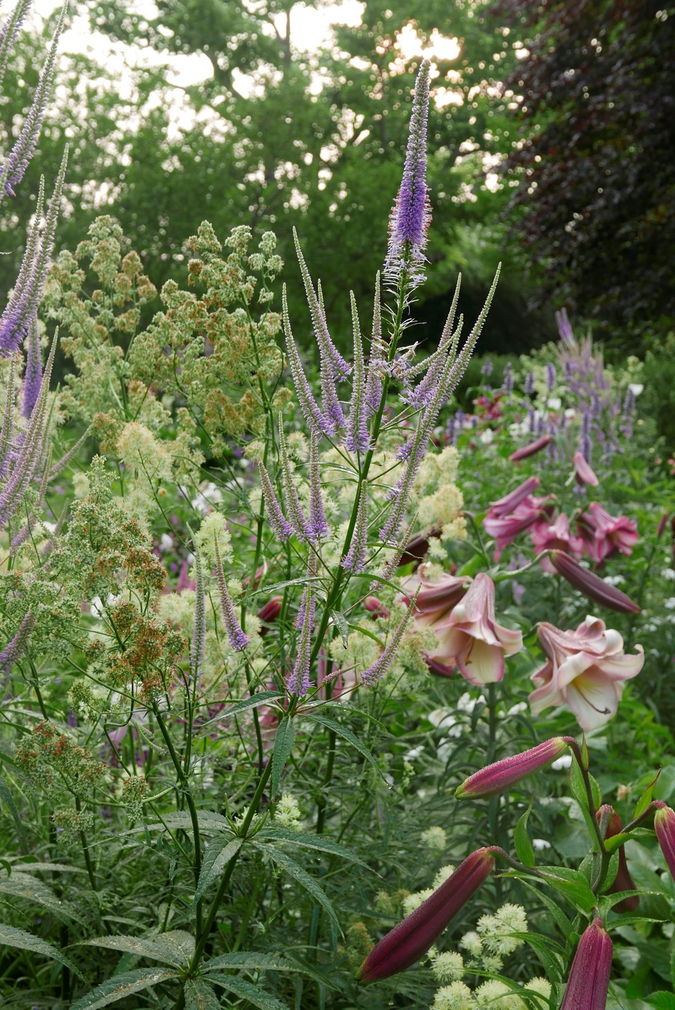 P664 18Leeave Kristyramage 190710 N18 Print