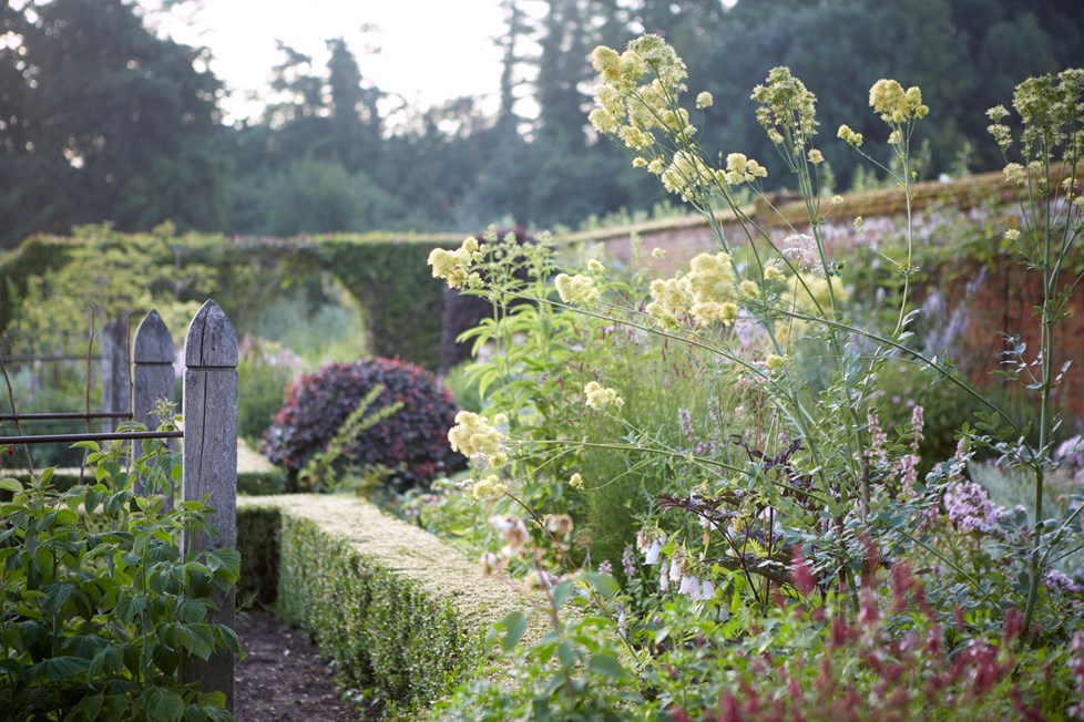 P017 Project 017 N451 Medium