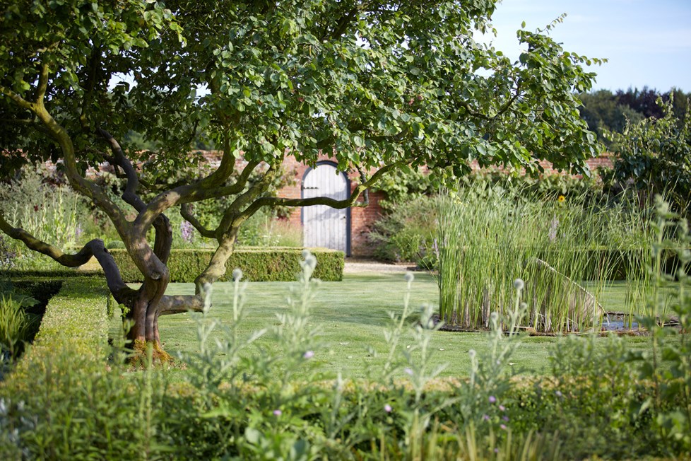 P017 Project 017 N233 Medium