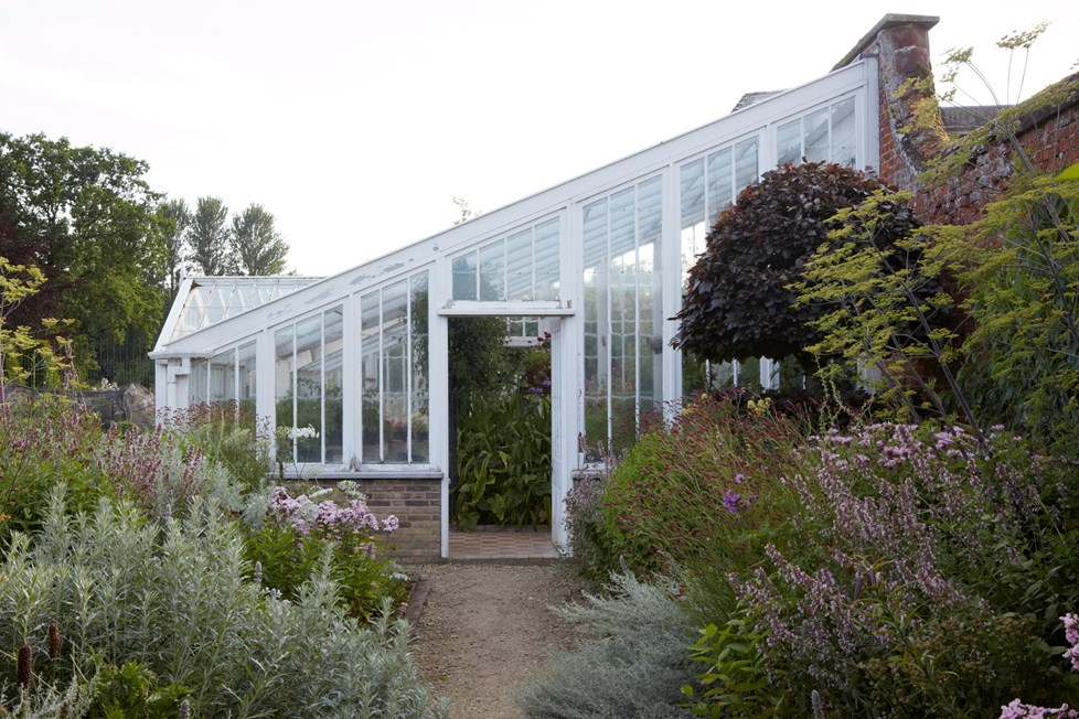 P017 Project 017 N321 Medium