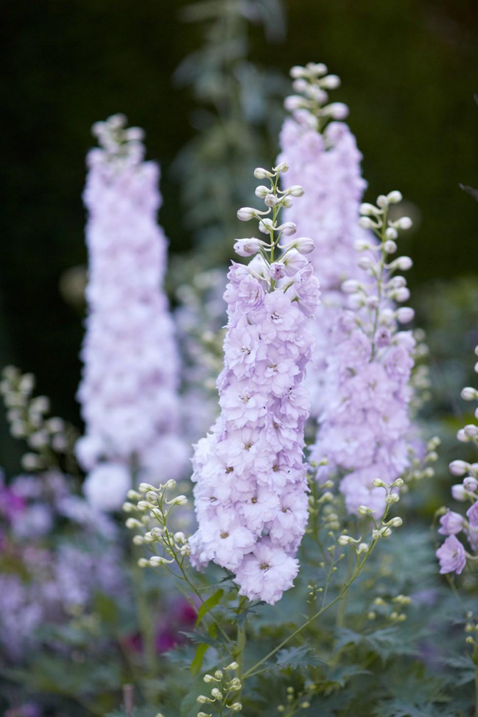 R 180713 N332 Medium